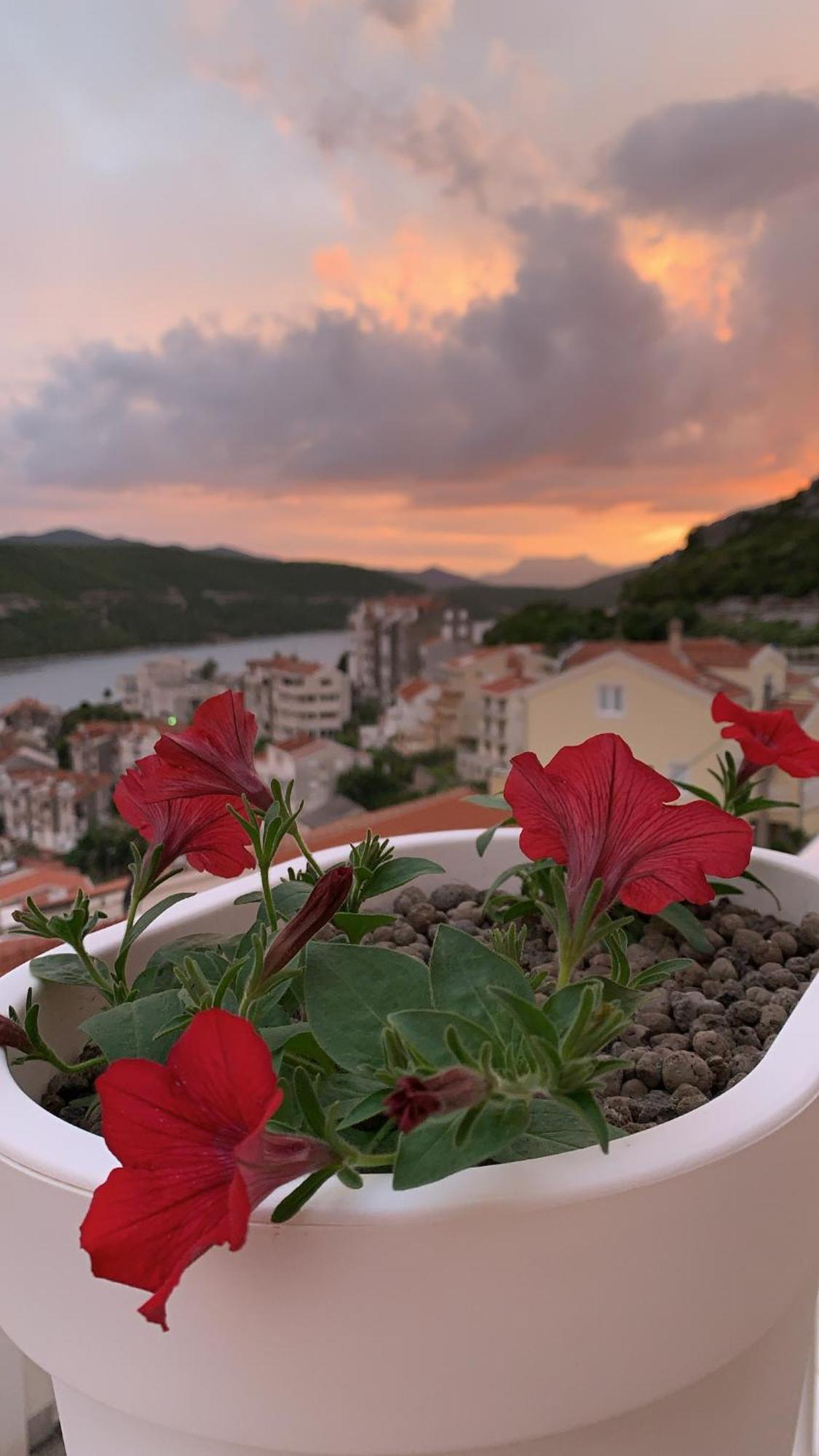 Hotel Ami - M Neum Luaran gambar